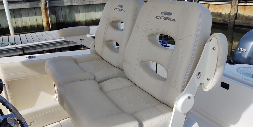 Cobia 262