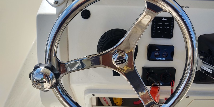 Cobia 262