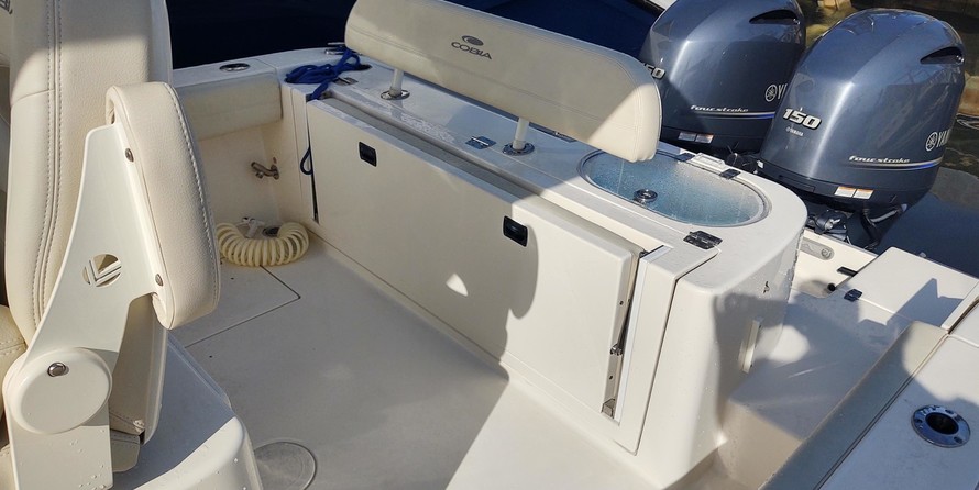 Cobia 262