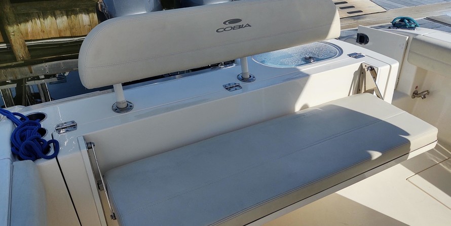 Cobia 262