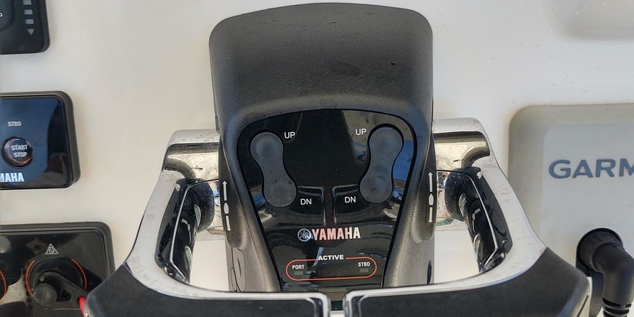 Cobia 262