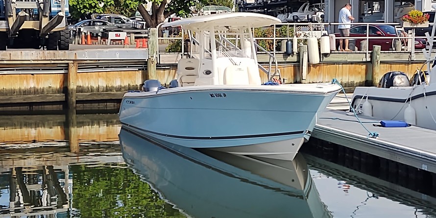 Cobia 262