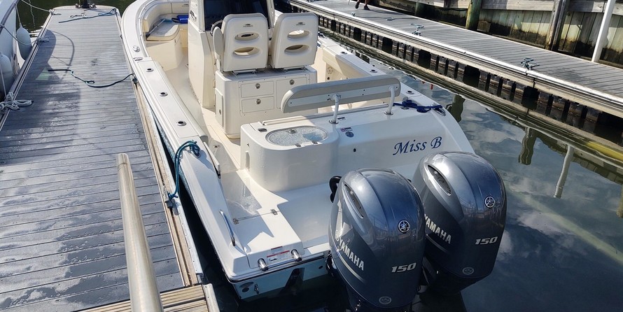Cobia 262