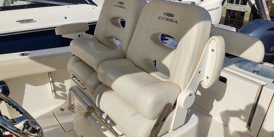 Cobia 262