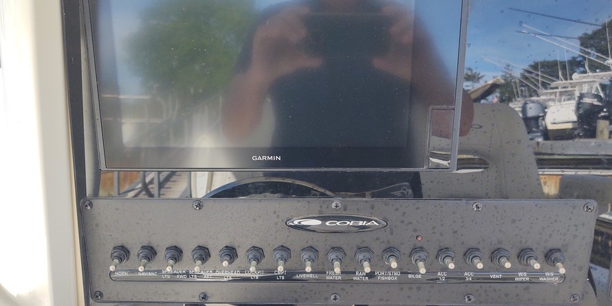 Cobia 262