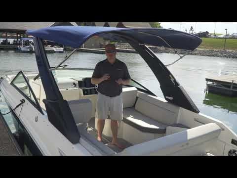 Sea Ray SDX 250