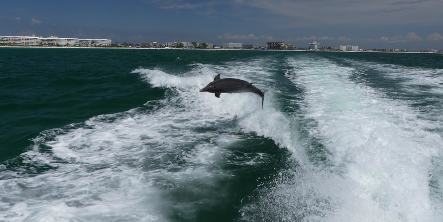 Sea Ray 350 Sundancer