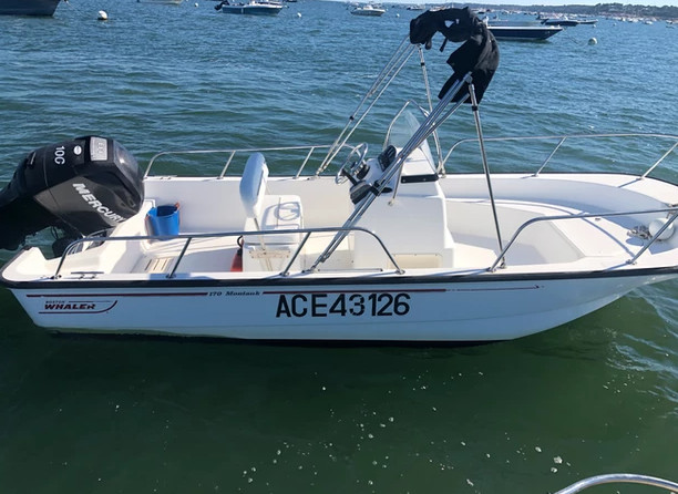 Boston Whaler 170 Montauk