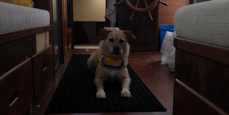 Grand Soleil banks 36 classic