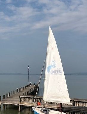 Laser Performance Dart 16