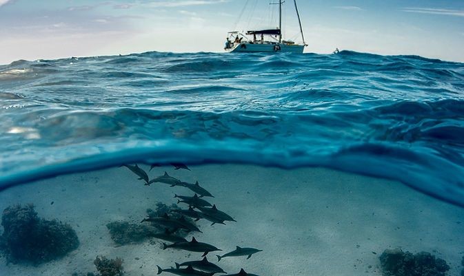 Beneteau Cyclades 50.5