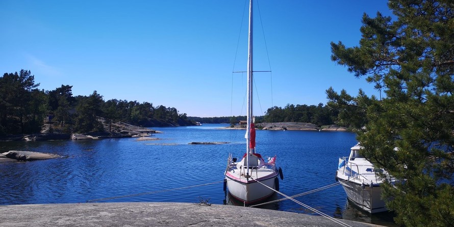 Mcconaghy r/p 79’ maxi