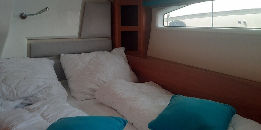 Delphia BluEscape 1200