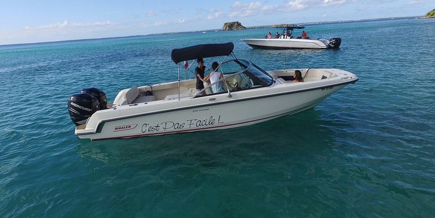 Boston Whaler 270 Vantage