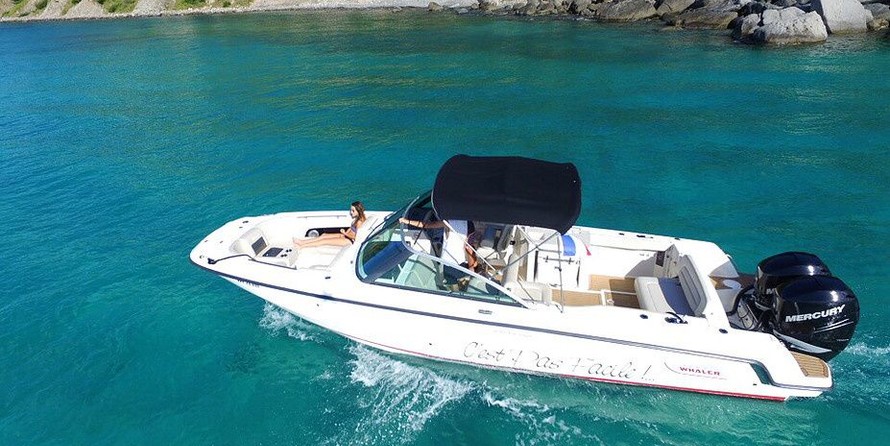 Boston Whaler 270 Vantage