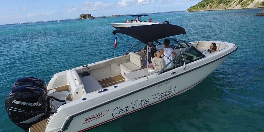 Boston Whaler 270 Vantage