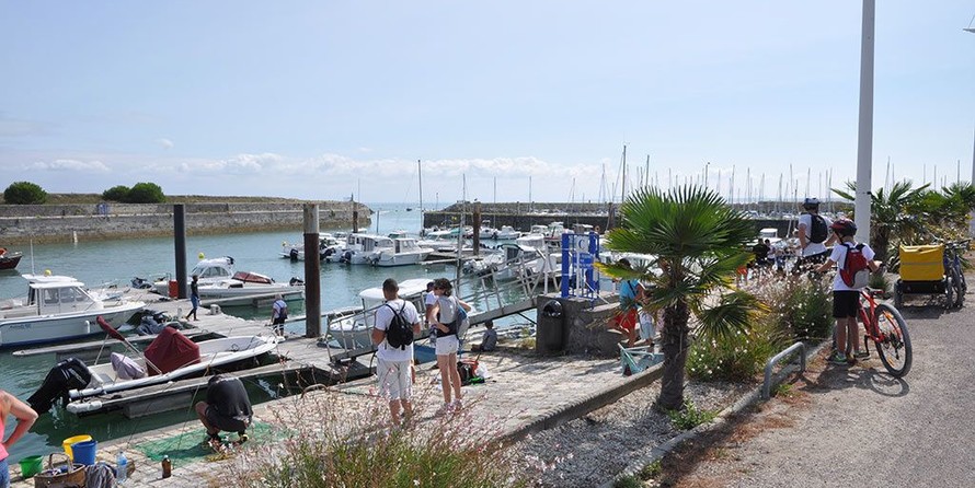 Jeanneau Cap Camarat 705