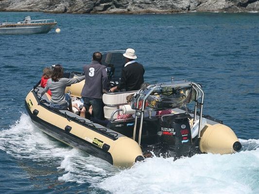 Sillinger 580 Silverline