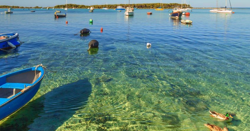 Enterprise marine em 46