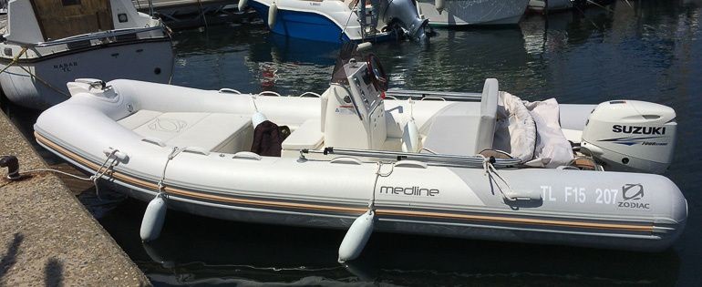 Zodiac Medline 550