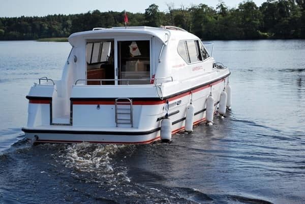 Haines 31