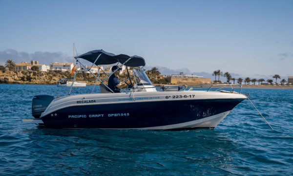 Pacific Craft 545 Open