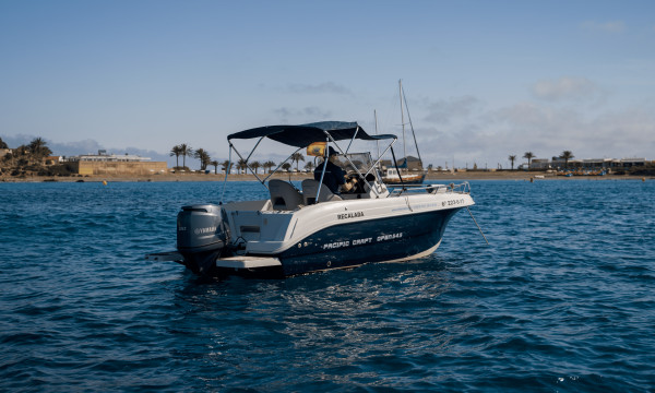 Pacific Craft 545 Open