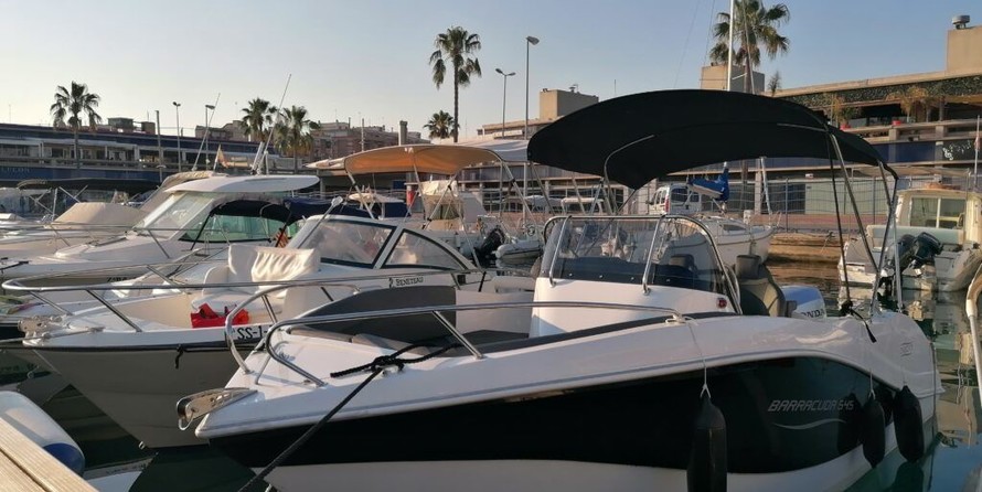 Barracuda 545