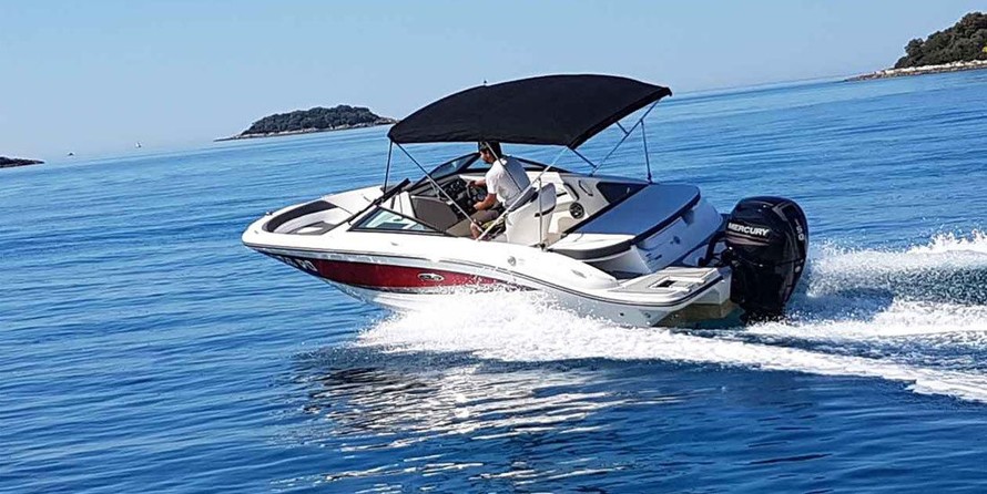 Sea ray 19 spx