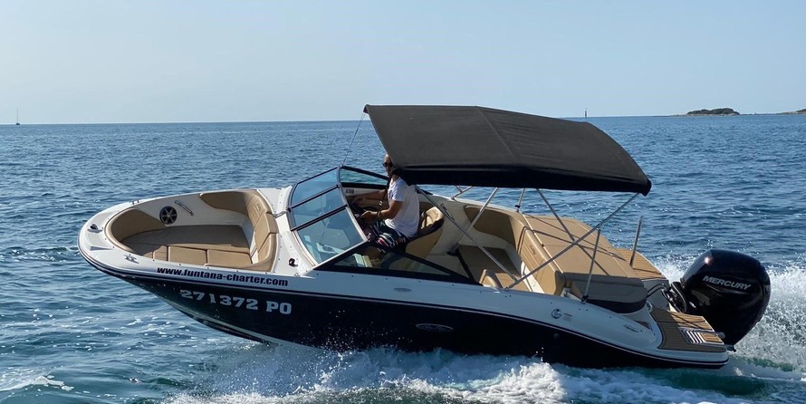 Sea ray 19 spx