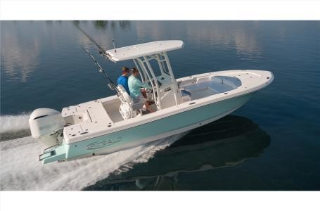 Robalo 246 Cayman