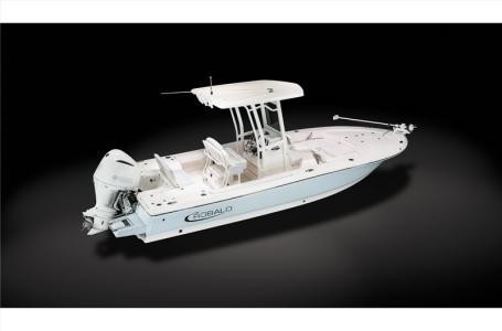 Robalo 246 Cayman