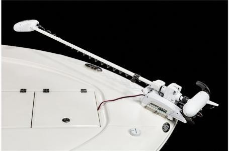 Robalo 246 Cayman