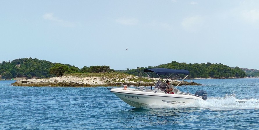 Ranieri international shadow 19