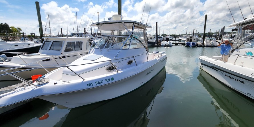 Pro-line 30 sport wa