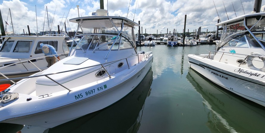 Pro-line 30 sport wa