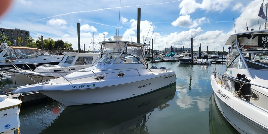 Pro-line 30 sport wa