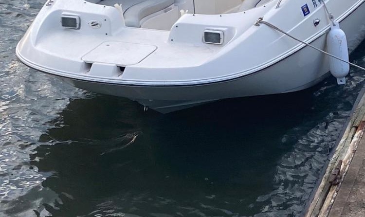 Sea Ray 220 Sun Sport