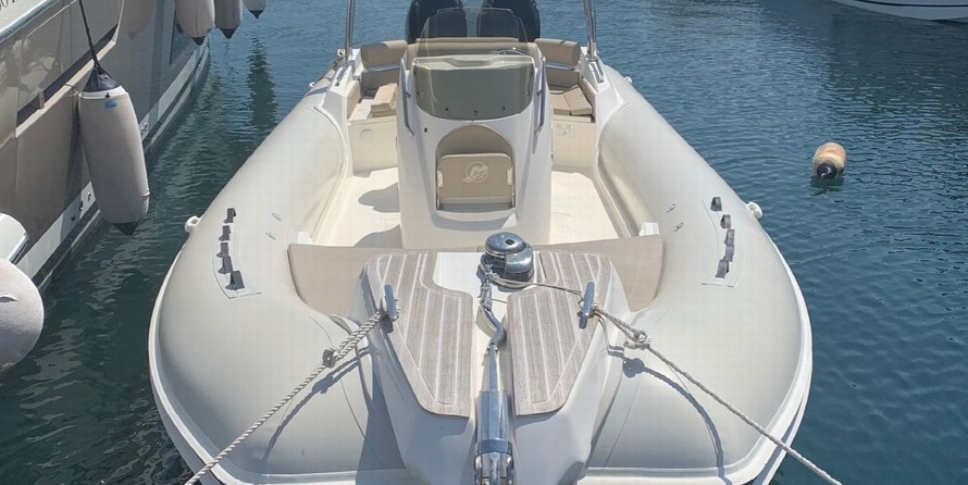 Black Fin Elegance 9
