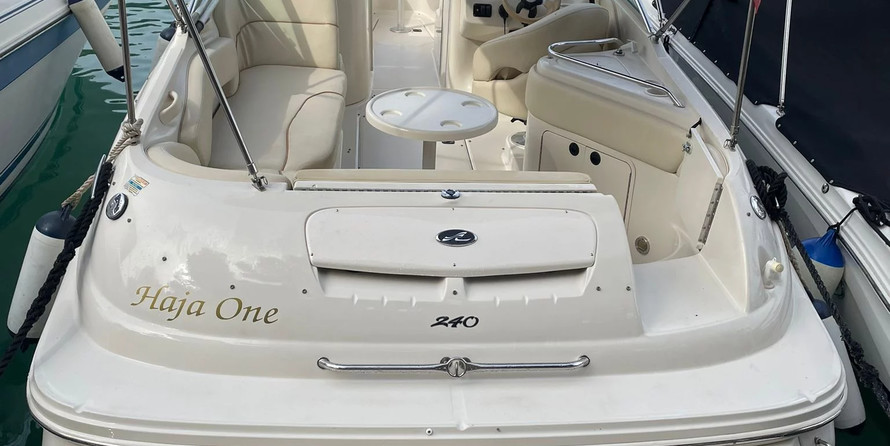 Sea ray 240