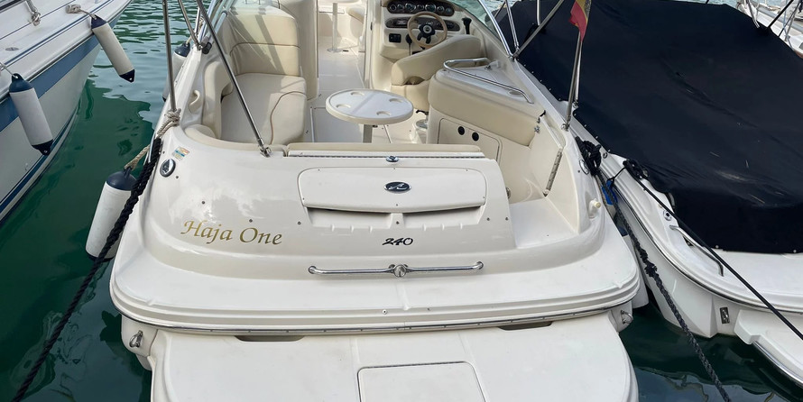 Sea ray 240