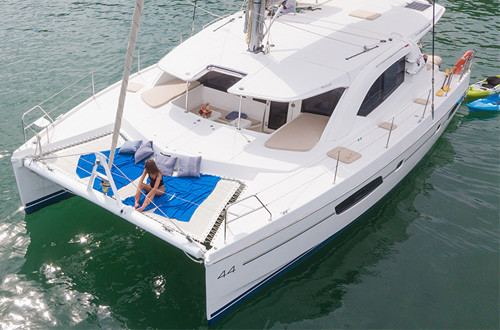 Leopard 44