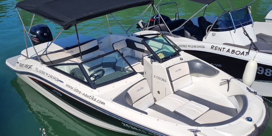 Sea ray 19 spx