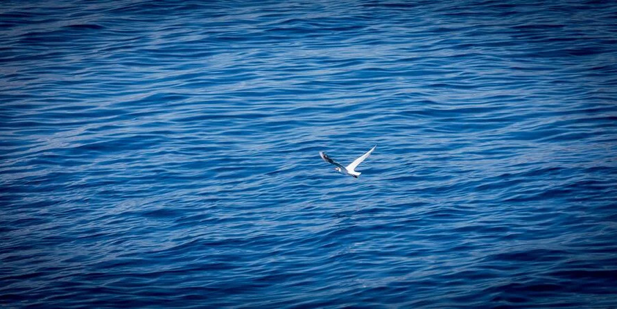 Luxury motor yacht pearl 60