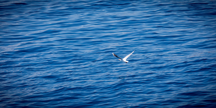 Luxury motor yacht pearl 60