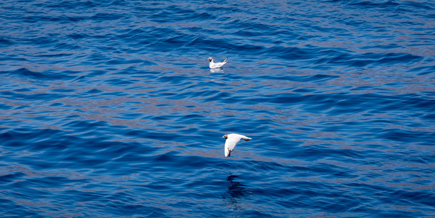 Luxury motor yacht pearl 60