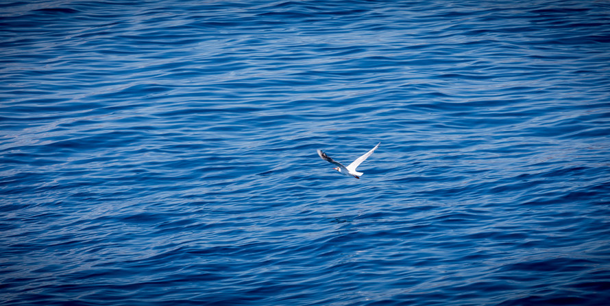 Luxury motor yacht pearl 60