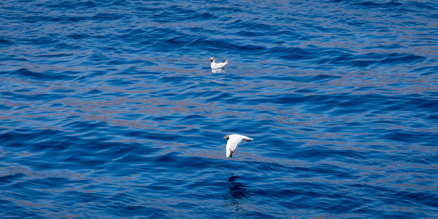 Luxury motor yacht pearl 60