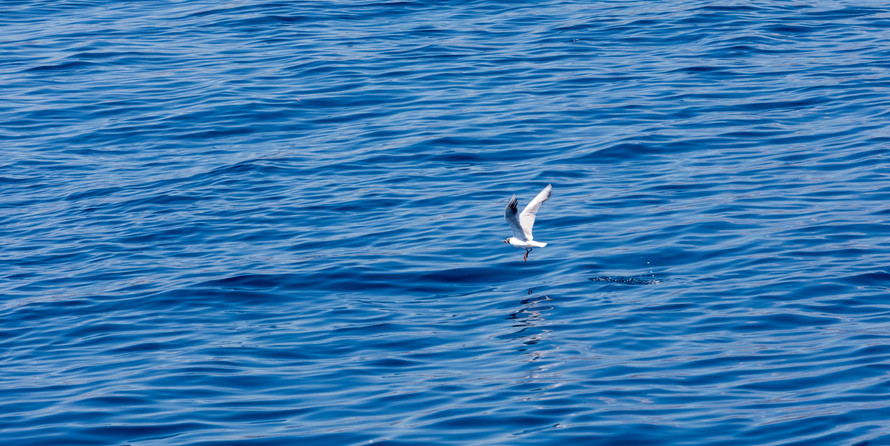 Luxury motor yacht pearl 60