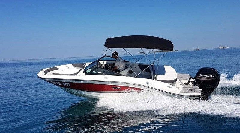 Sea ray 19 spx